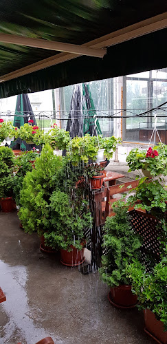 ХОТЕЛ- РЕСТОРАНТ ПАЛЕРМО - Гастрономия и хотелиерство