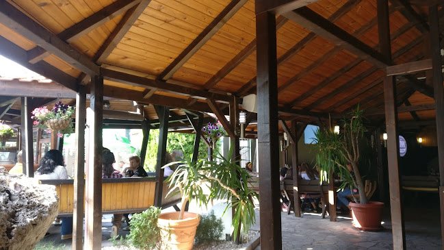 Пица Антани