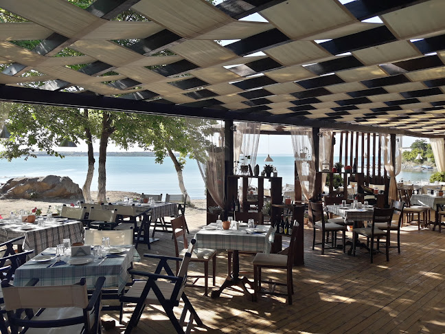 Сансет Бар-ресторан - Гастрономия и хотелиерство