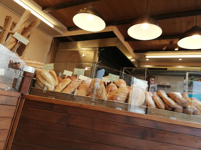 Бред Ленд - София