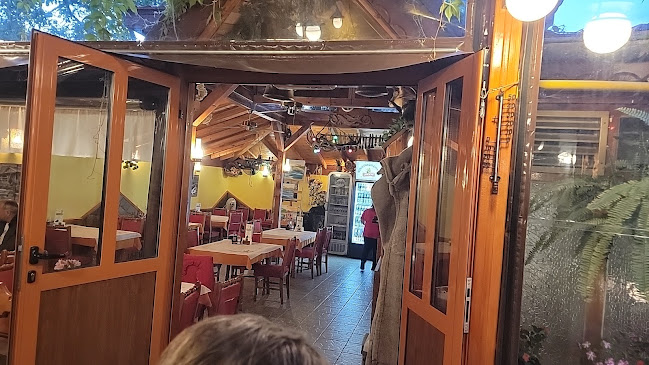 Старият елен - Царево