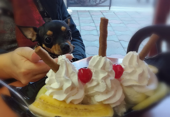 ЦентърРайон Централен, ул. „Никола Петков“ 7, 4000 Пловдив