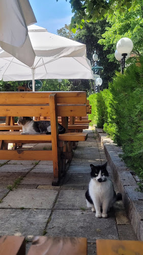 Бирария Гролш - Гастрономия и хотелиерство