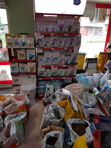 Comentarii opinii despre Базар „Чайка“