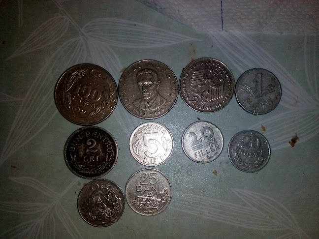 Opinii despre Клуб Ресторант Соло în Добрич - Гастрономия и хотелиерство