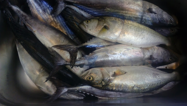 ул. „Морска“ 20, 8142 Черноморец