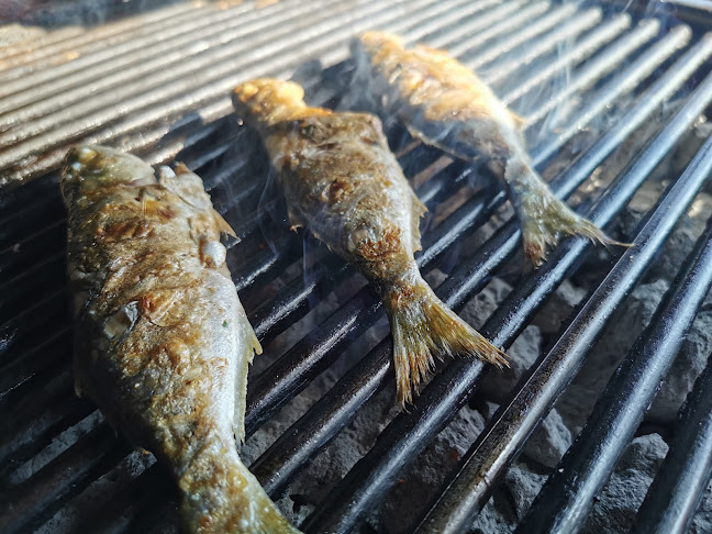 Ресторант Колелото - Гастрономия и хотелиерство