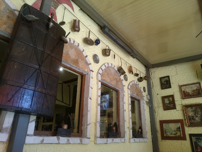 Северна промишлена зонаМладост, ул. „Тролейна“ 12, 9009 Варна