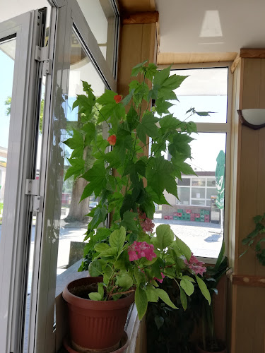 CAFE "KATALPA" - Гастрономия и хотелиерство