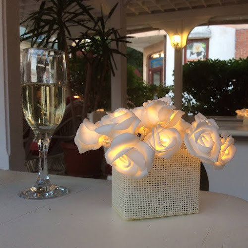 Bolero Bar & Dinner - Гастрономия и хотелиерство