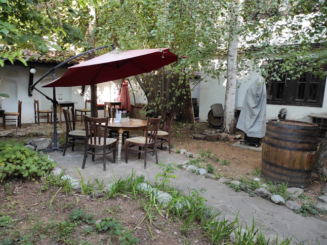 Дом на художника - При Шишо ( не е ресторант ) - Враца