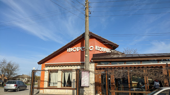 Морско конче - Българево