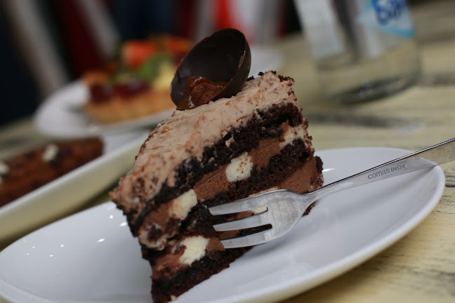 Каменица 1Район Централен, ул. „Родопи“ 113, 4000 Пловдив