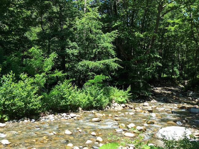 2804 Сандански