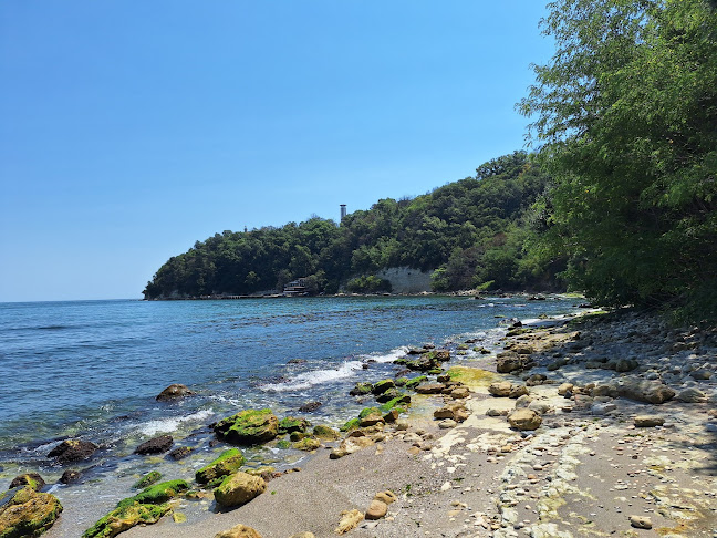 Comentarii opinii despre Ресторант "Романтика"