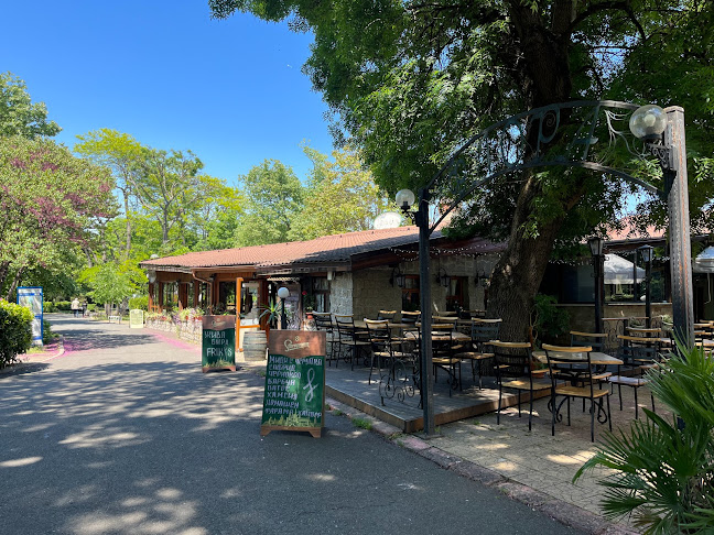 Comentarii opinii despre Бирария Гролш