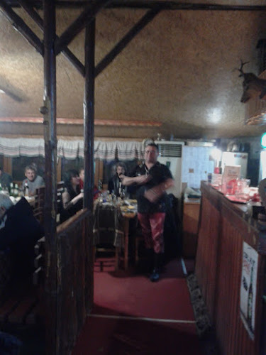 Comentarii opinii despre механа „При райбера“