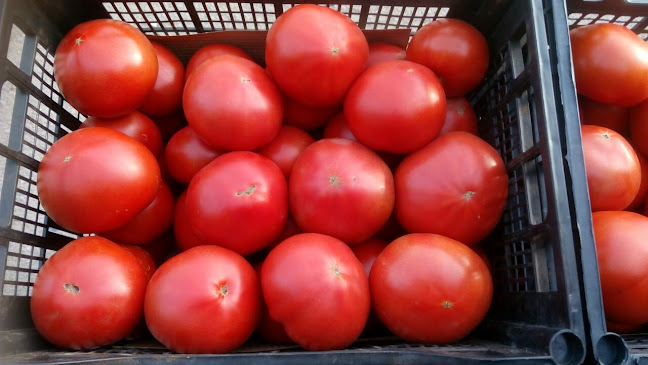 Comentarii opinii despre Зеленчукова борса