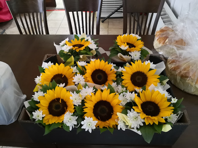 Comentarii opinii despre Ловна среща