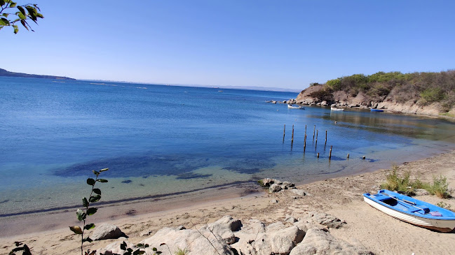 Opinii despre При Томата în Черноморец - Гастрономия и хотелиерство