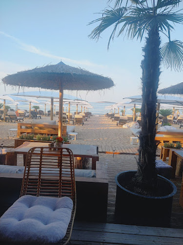 Opinii despre La Bocana în Черноморец - Гастрономия и хотелиерство