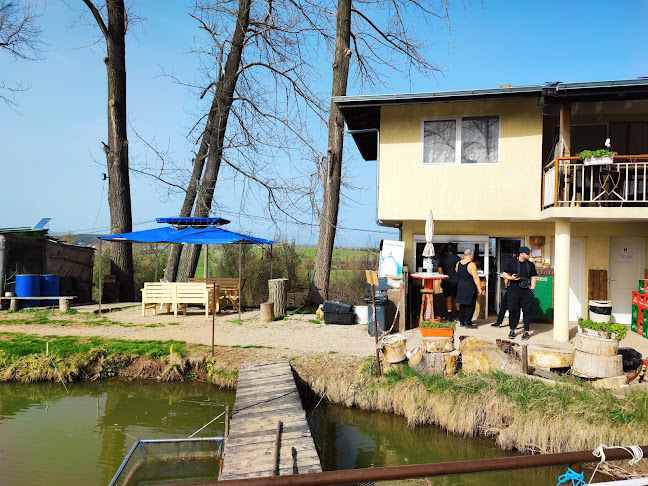 Comentarii opinii despre Язовир Михайлово