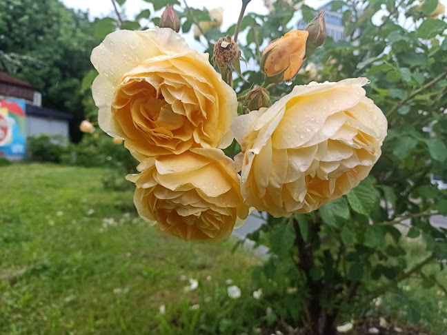 Бар Национал