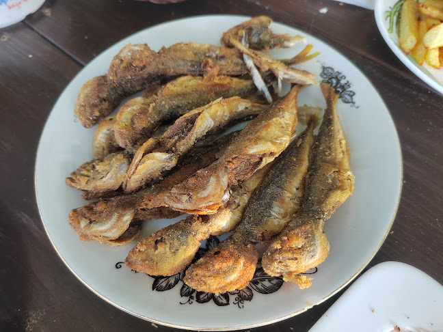 8142 Черноморец