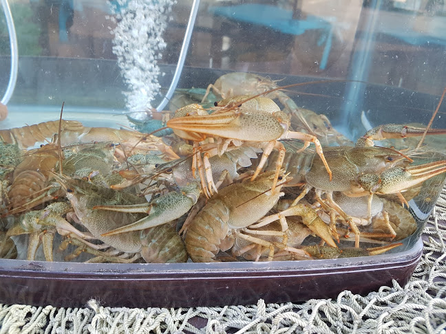 ул. „Македония“ 52, 8238 Равда