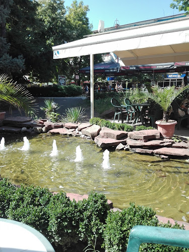 Comentarii opinii despre Оптика