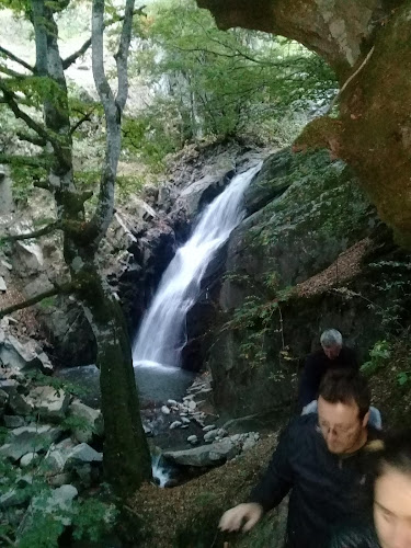 Comentarii opinii despre Кафе Сладкарница