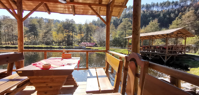 unnamed road, 2780 Белица