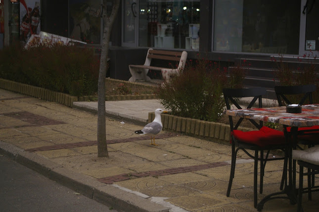 БИРАРИЯ ПАЛАС - Царево