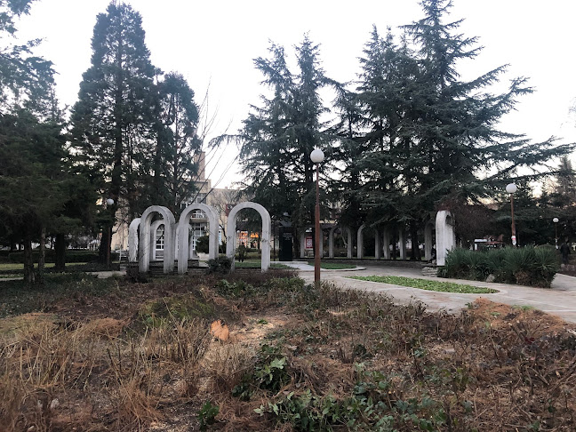 Comentarii opinii despre Ресторант Българе