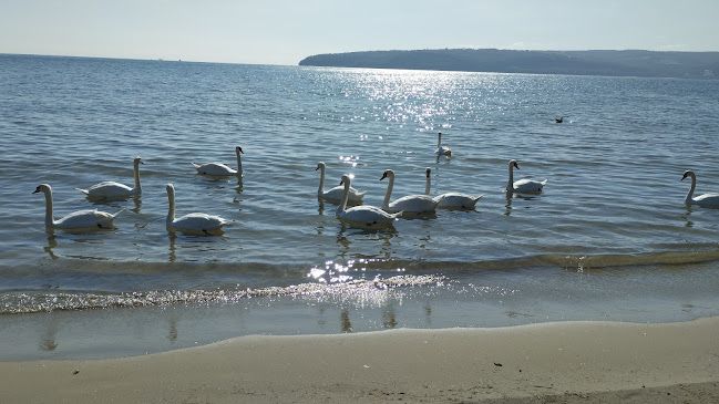 Трета буна - Гастрономия и хотелиерство