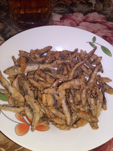 Каравана Чайка - Равда