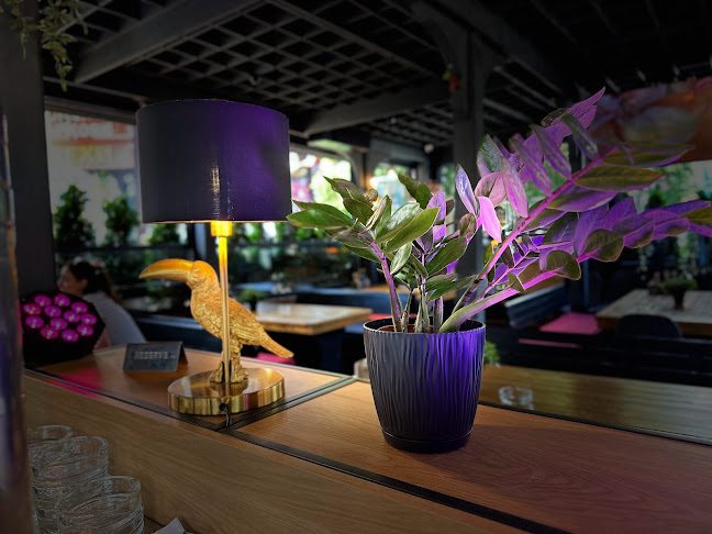 Comentarii opinii despre Bolero Bar & Dinner