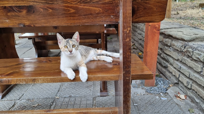 Cafe-bar London никопол - Никопол