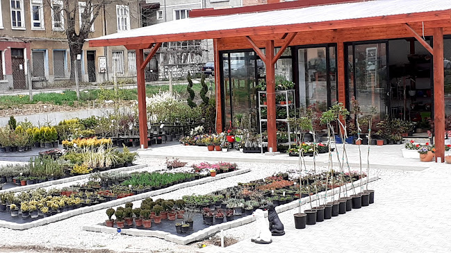 Градински център Габрово Easy Garden