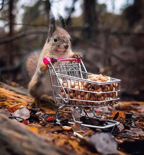 Opinii despre Търговски обект ядки КРАСИ în Пазарджик - Гастрономия и хотелиерство