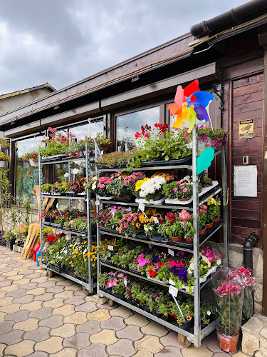 Opinii despre Цветарски магазин „Подари цвете“ în Долна баня - Гастрономия и хотелиерство