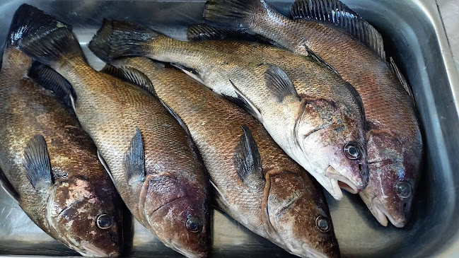 Am Gul food & beverage | Ресторант Черноморец | Морска храна