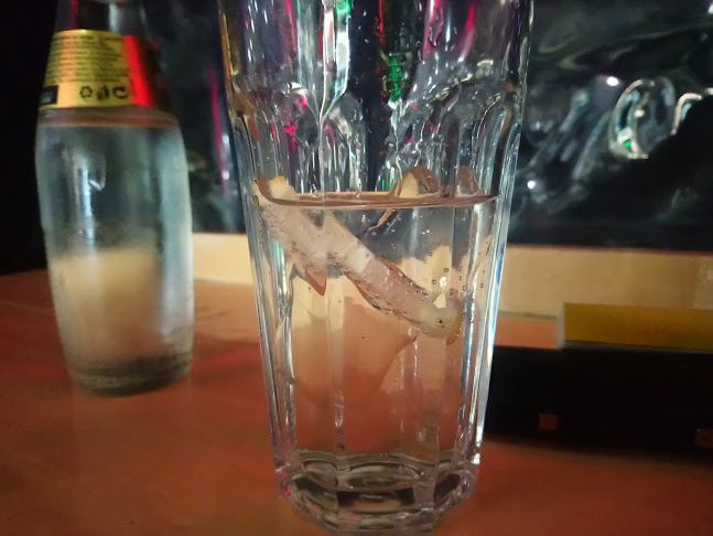 Джинни бар - Гастрономия и хотелиерство