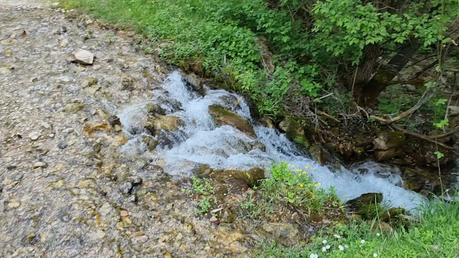 Opinii despre Чифлик Ненкови în Осеновлаг - Гастрономия и хотелиерство