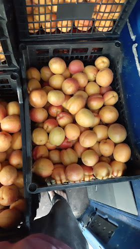 Зеленчукова Борса Огняново - Гастрономия и хотелиерство