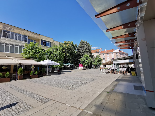 Comentarii opinii despre VIP