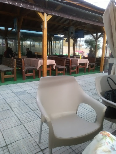 Comentarii opinii despre Cherry Land