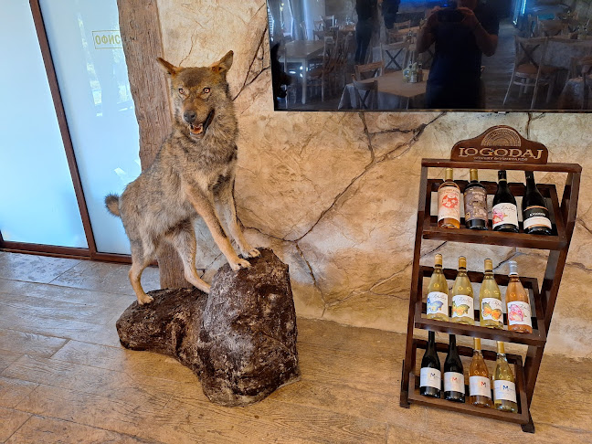 Comentarii opinii despre Ловна среща Търговище