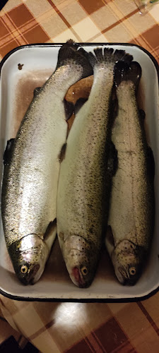 Спортен Риболов ЗРНО - Гастрономия и хотелиерство