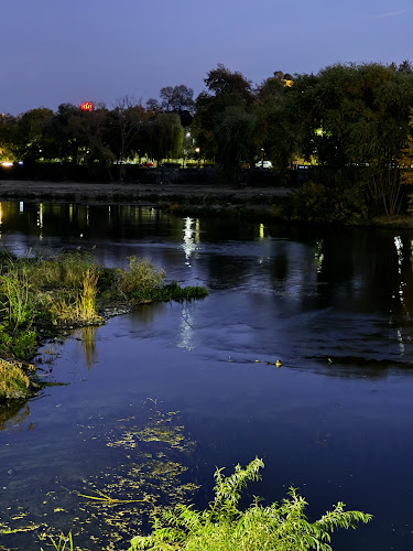 Comentarii opinii despre На реката „Джъмп“